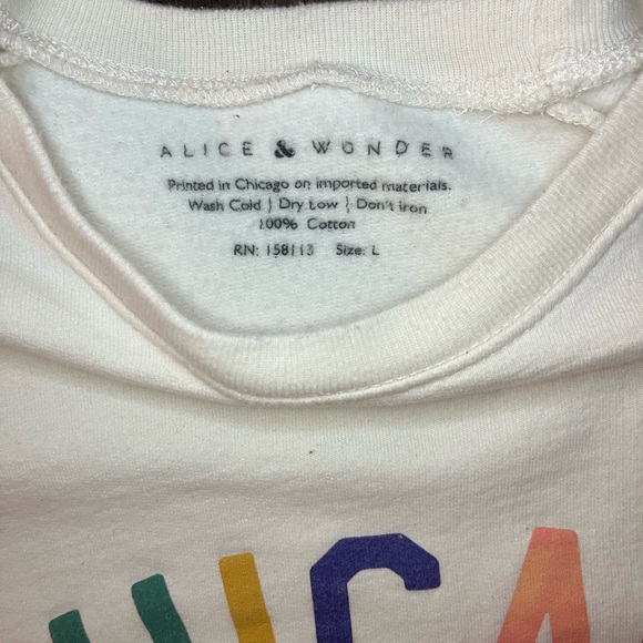 Alice & Wonder lightweight crewneck Chicago sweatshirt - Picture 3 of 4